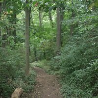 Hiking or walking