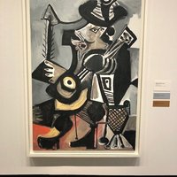 pablo picasso frist museum