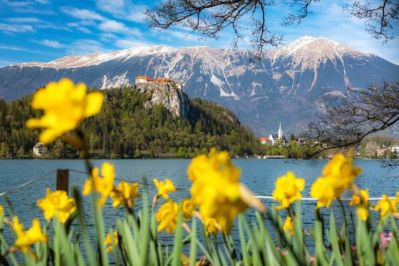Spring blooms at Lake Bled