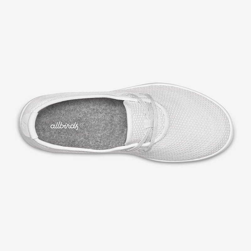 Allbird shoe