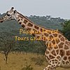 Uganda Excellent Adventure