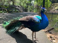 21年 ネオパークオキナワ 行く前に 見どころをチェック トリップアドバイザー 21年 ネオパークオキナワ 行く前に 見どころをチェック トリップアドバイザー