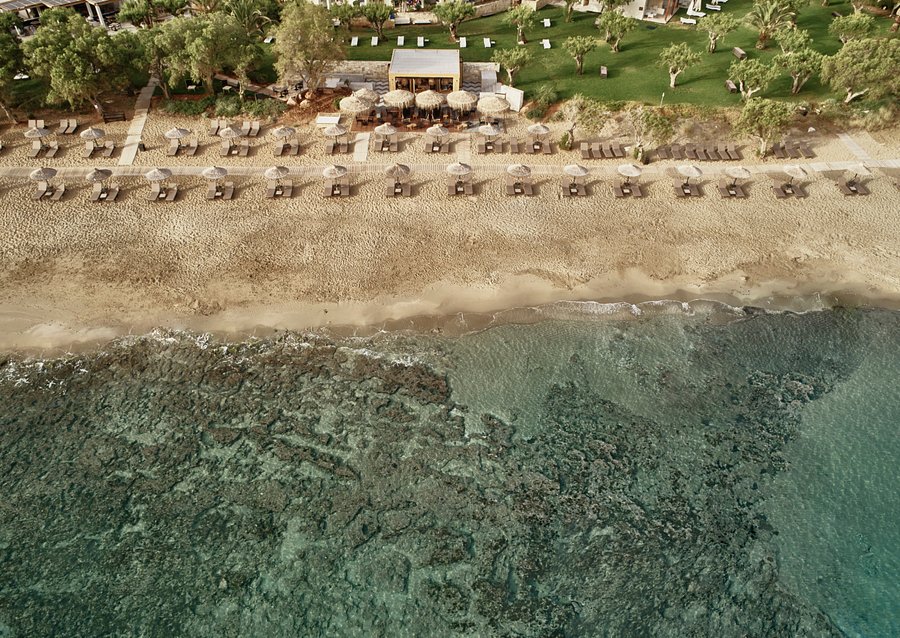 Cretan Malia Park Updated 21 Prices Hotel Reviews Greece Tripadvisor