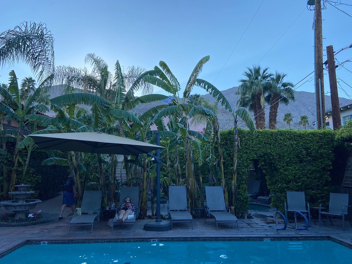 HOTEL CALIFORNIA - Updated 2024 Prices & Reviews (Palm Springs)