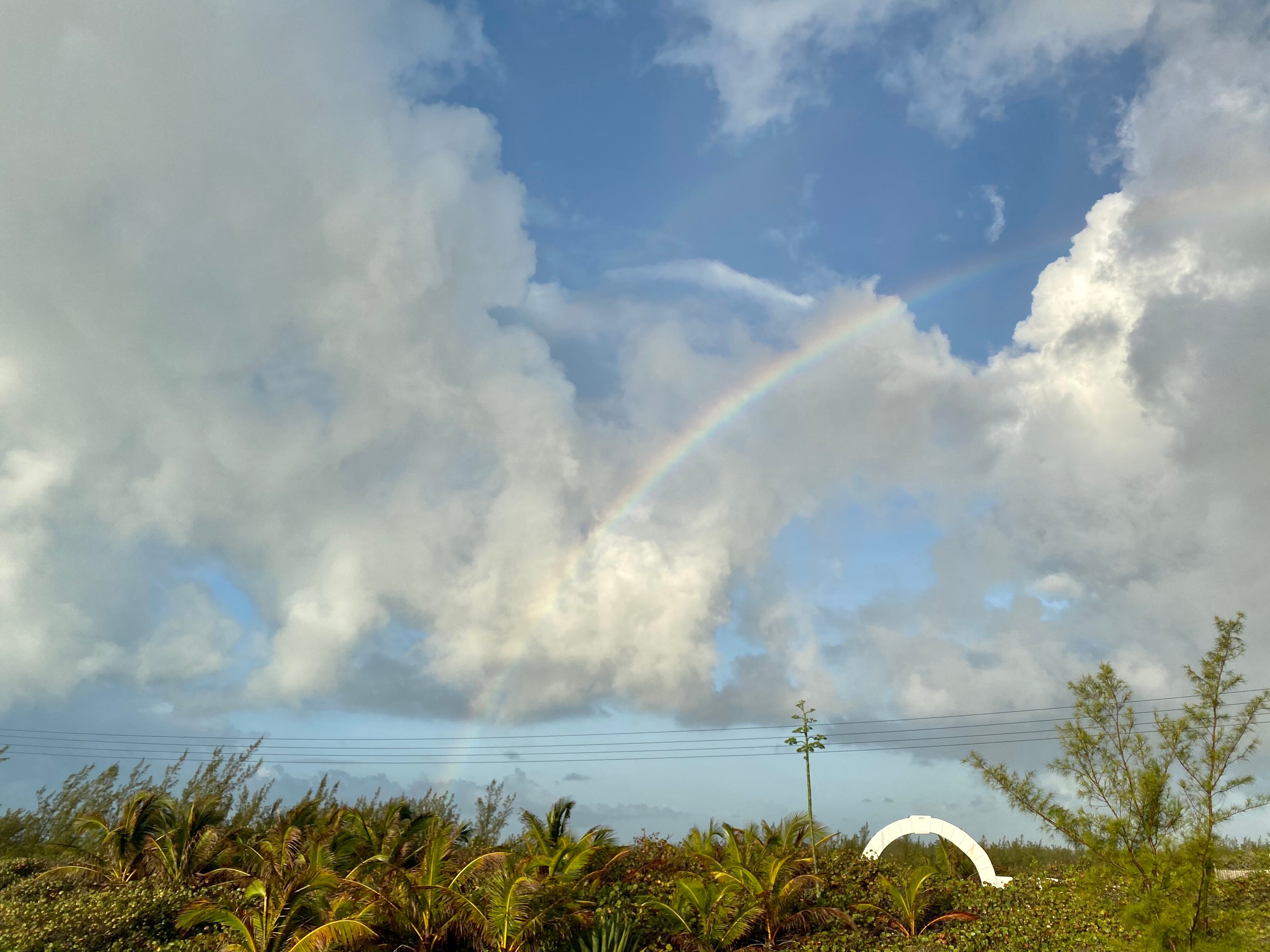 OCEAN TALLY - Prices & B&B Reviews (Eleuthera, Bahamas)