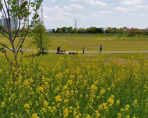 川口市10 大公园与自然景点 Tripadvisor 川口市10 大公园与自然景点 Tripadvisor