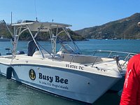 Busy Bee Charters and Dive Shop Closes Their Doors
