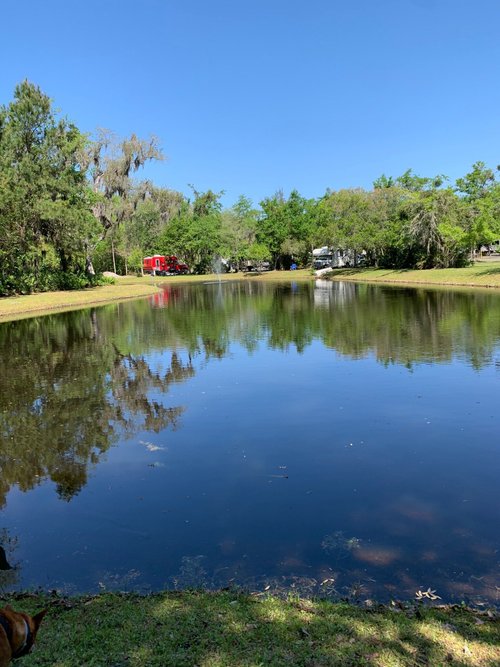 A BIG WHEEL RV PARK - Updated 2023 Campground Reviews (St. Marys, GA)