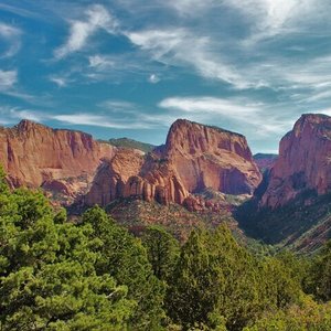 are dogs allowed in kolob canyon