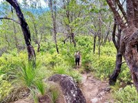 Walshs Pyramid Gordonvale 21 All You Need To Know Before You Go Tours Tickets With Photos Tripadvisor