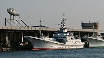 カツオのオブジェがカッコいい、港の岸壁に接岸した船から、ビンチョウマグロかわからないが、早朝より働いていた漁師さんたち、ご苦労さんです。。。