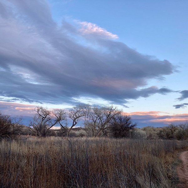 Coyote Trails Golf Course (Cottonwood) All You Need to Know BEFORE You Go