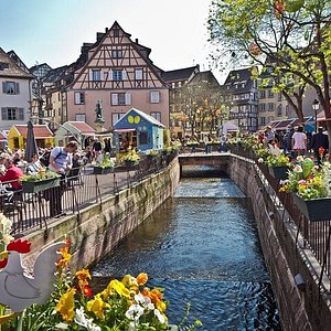 Le verger conservatoire - Visit Alsace