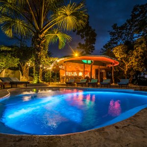 The Pool & Bar Area 