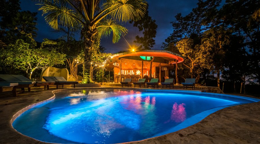 The Pool & Bar Area 