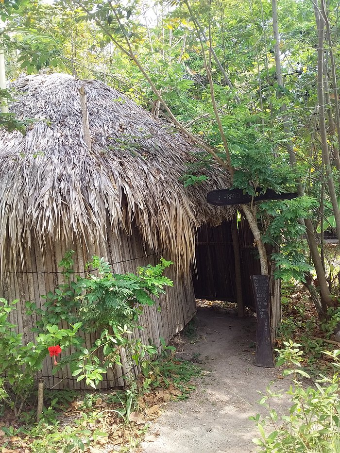 MANGO FELIZ - Campground Reviews (Rincon del Mar, Colombia)