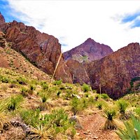 Cattail Falls Trail (Big Bend National Park) - All You Need to Know ...