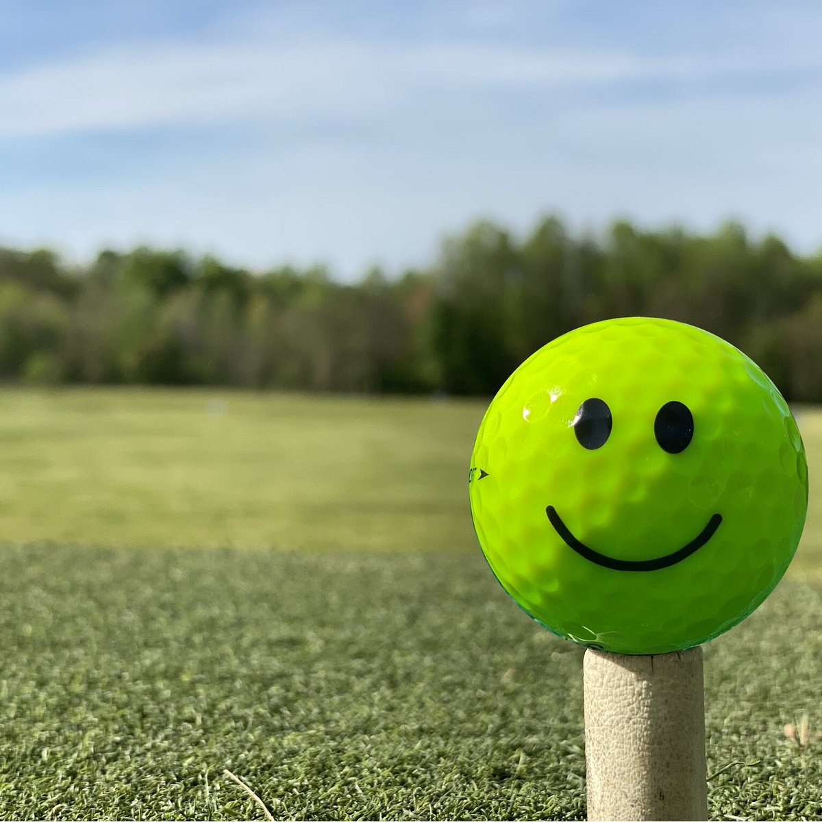 Få kontrol lemmer tilbehør Smiley's Golf and Learning Center (Winston Salem) - All You Need to Know  BEFORE You Go