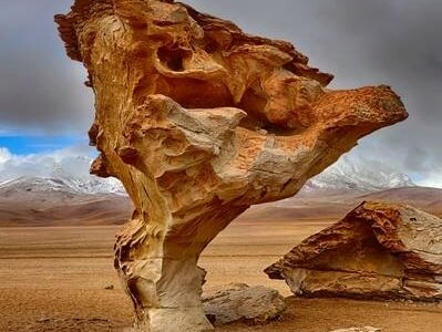 Arbol de Piedra 22