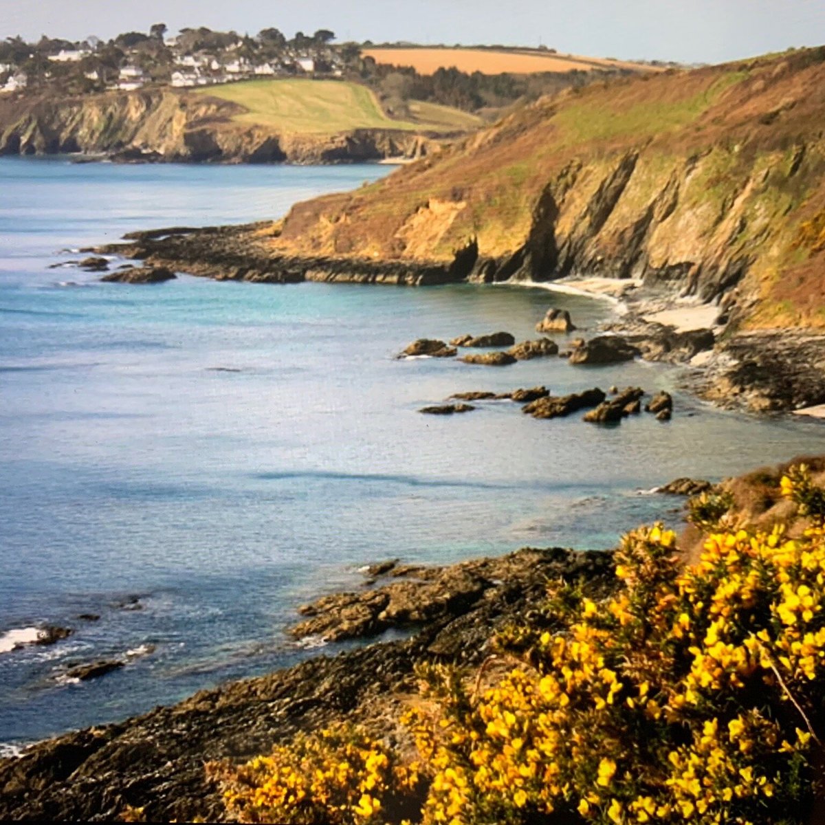 sunny cove beach weather