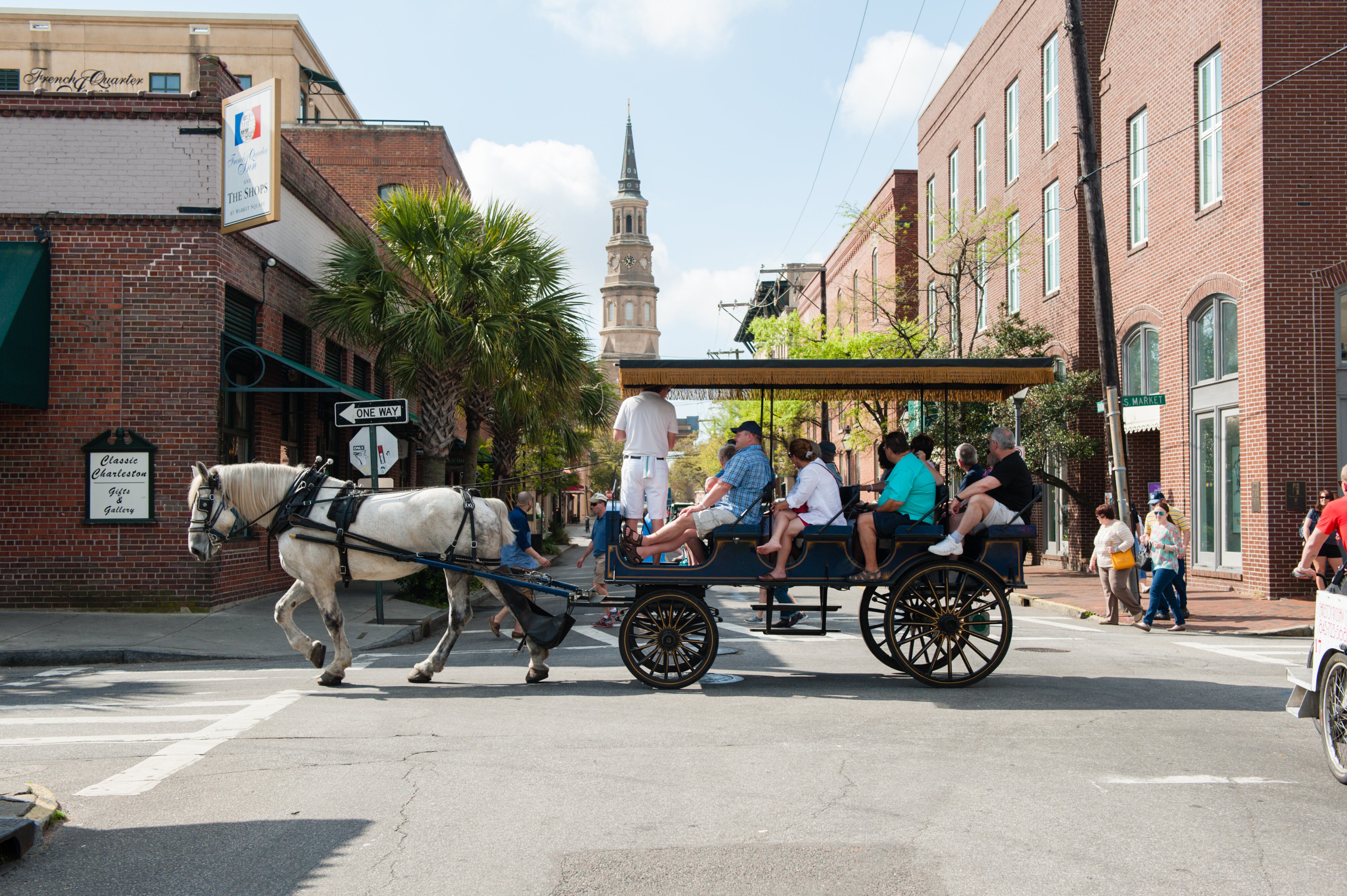 Palmetto carriage hot sale rides