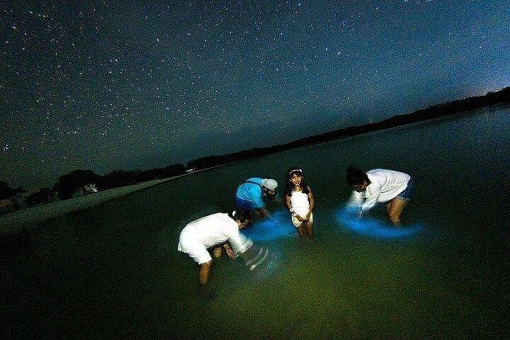 What the Hell Is Bioluminescent Tourism? - InsideHook