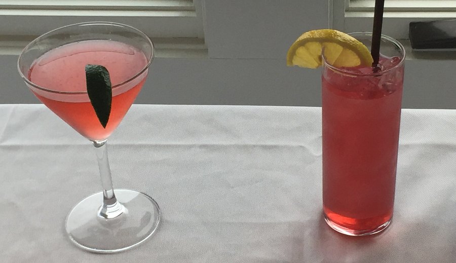 Blackberry Gin and Tonic, and Raspberry Cosmo