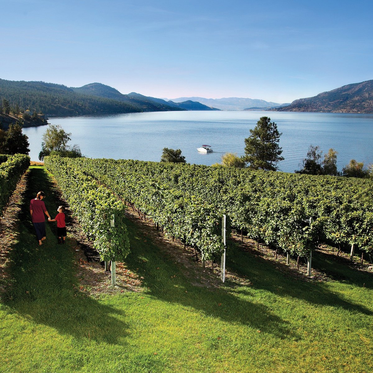 metropolis wine tours kelowna