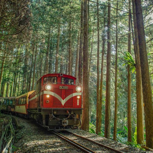 2023年 阿里山林業森林鉄道 - 行く前に！見どころをチェック