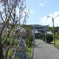 toga shrine03