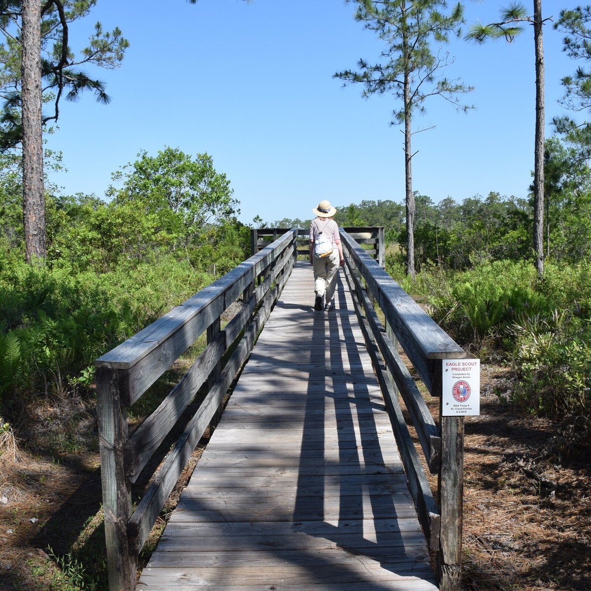 Split Oak Forest Wildlife And Environmental Area (orlando): Tutto 