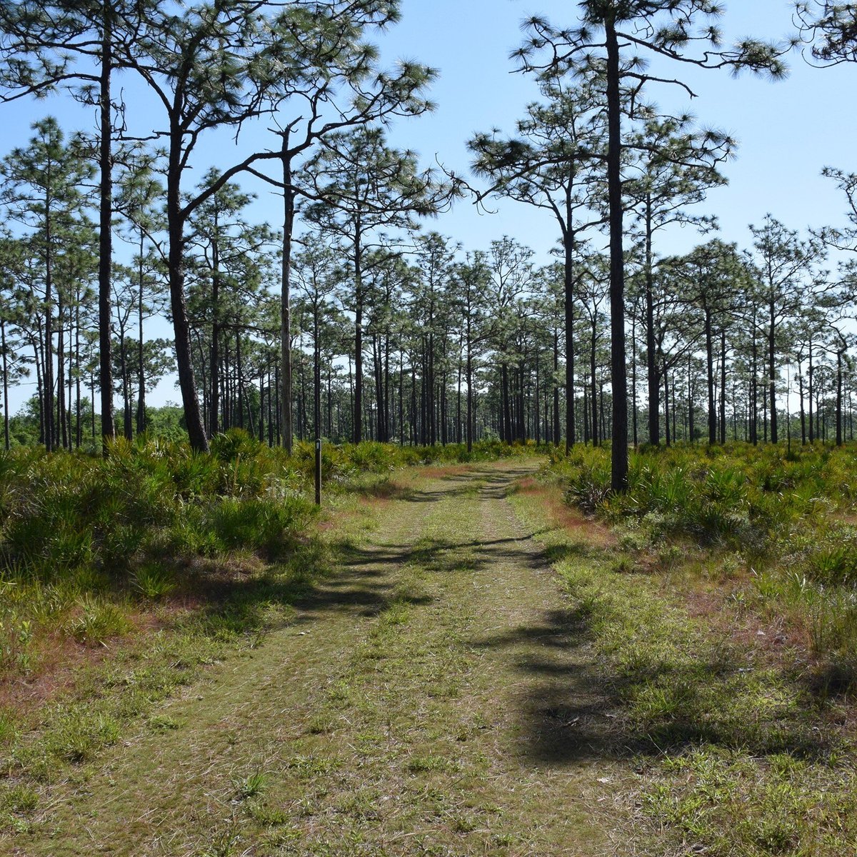 Split Oak Forest Wildlife and Environmental Area (Orlando): All You ...