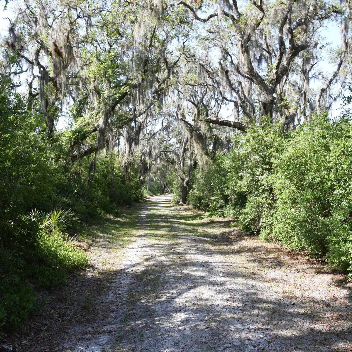 Split Oak Forest Wildlife and Environmental Area (Orlando) - 2022 Lo ...