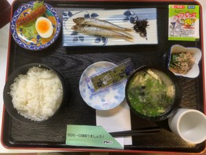 旅行者の写真