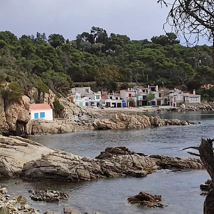 Imagen 2 de La Cala S'Alguer