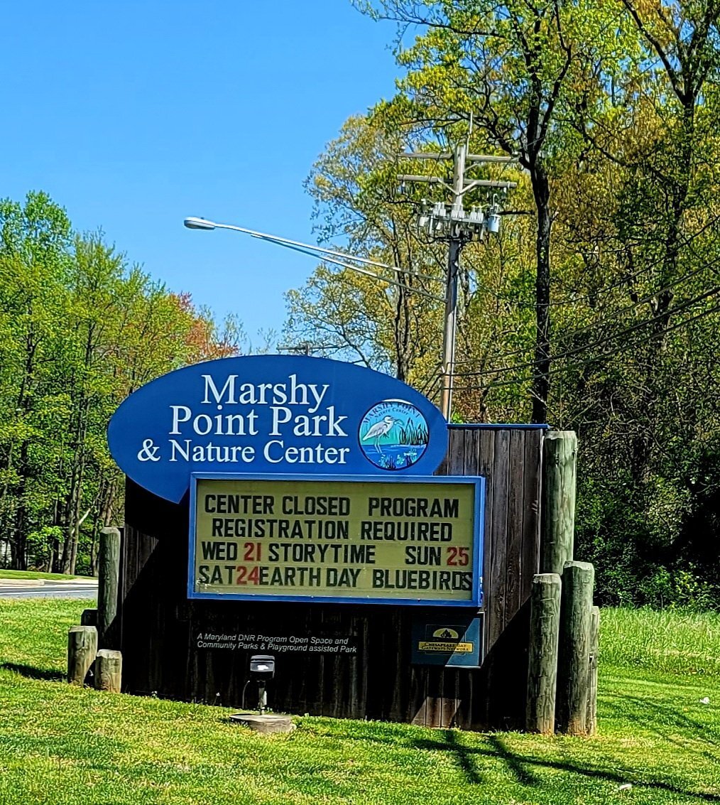 Marshy Point Nature Center (middle River) - All You Need To Know Before 