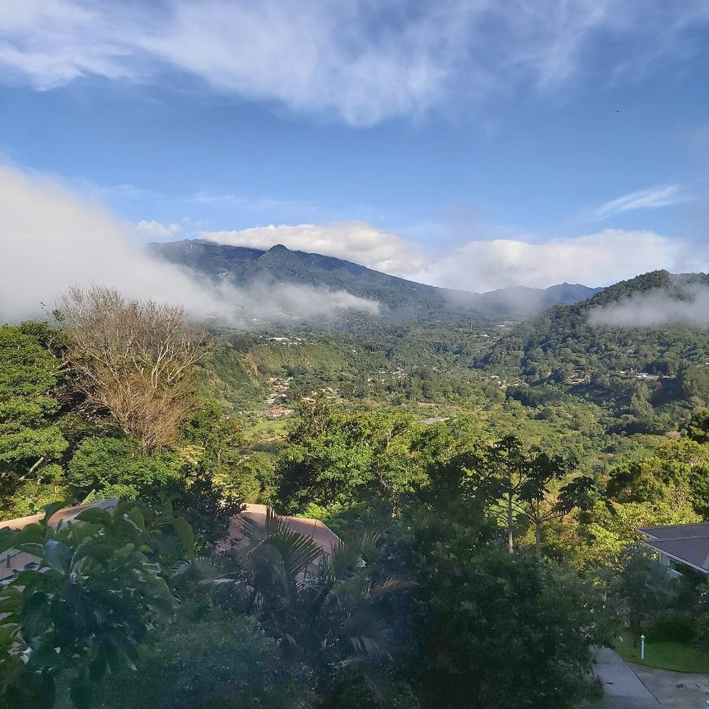 COFFEE ESTATE INN $168 ($̶2̶2̶6̶) - Updated 2024 Prices & Hotel Reviews -  Boquete, Panama