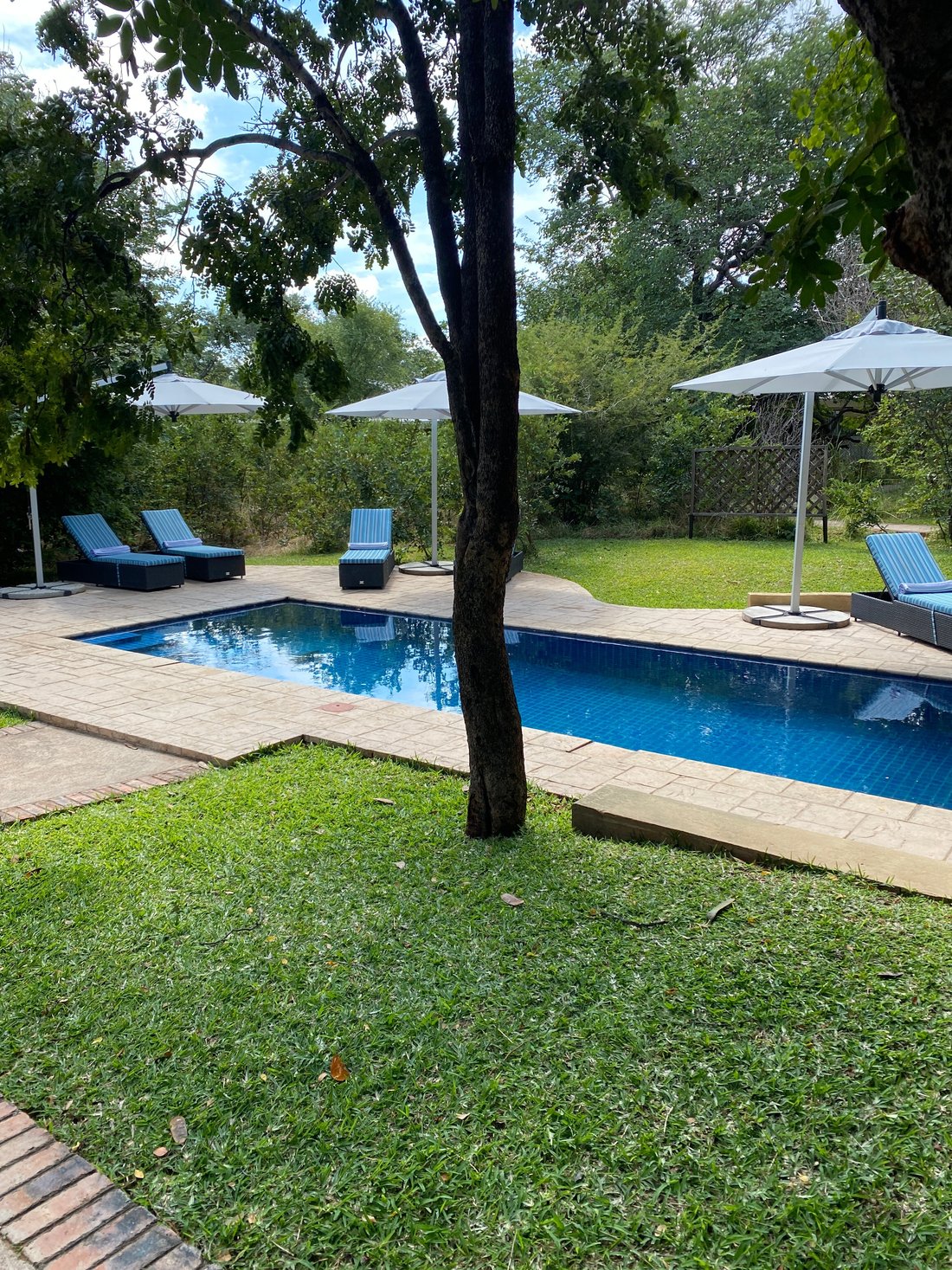 Mbano Manor Hotel Victoria Falls Pool Pictures And Reviews Tripadvisor