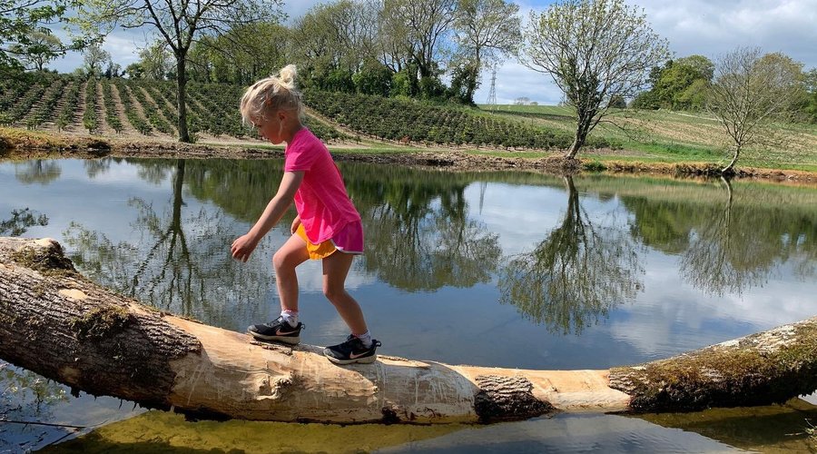 Log Crossing