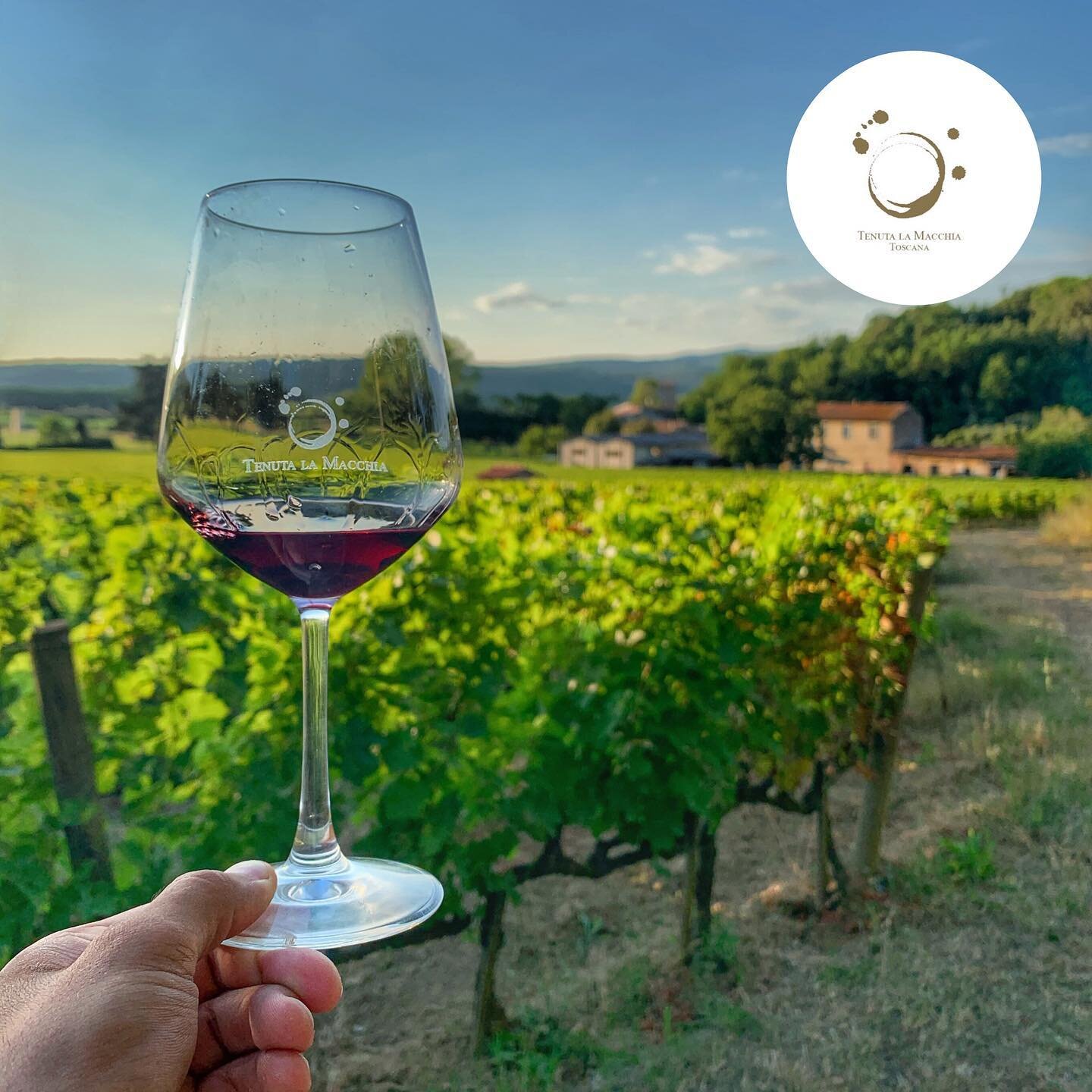 Tenuta La Macchia All You Need to Know BEFORE You Go 2024