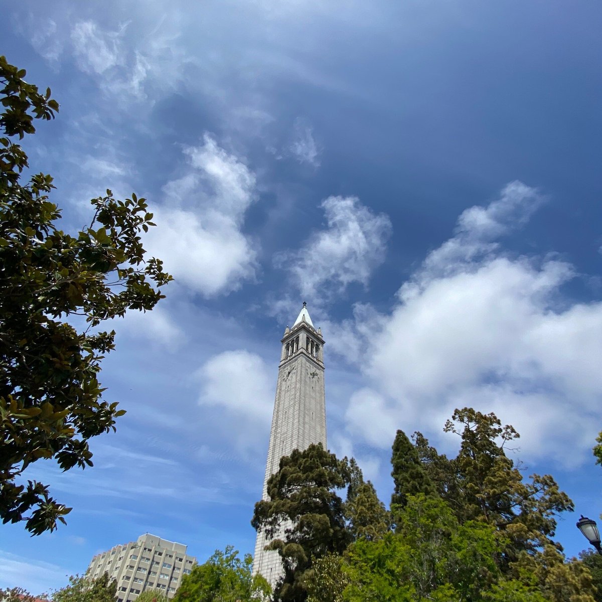 Unofficial UC Berkeley Campus Walking Tour - All You Need to Know