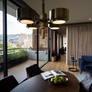 Increibles vistas desde las terrazas de nuestras apartasuites que combinan nuestro diseño original con la naturaleza del parque de la 93 y las montañas.