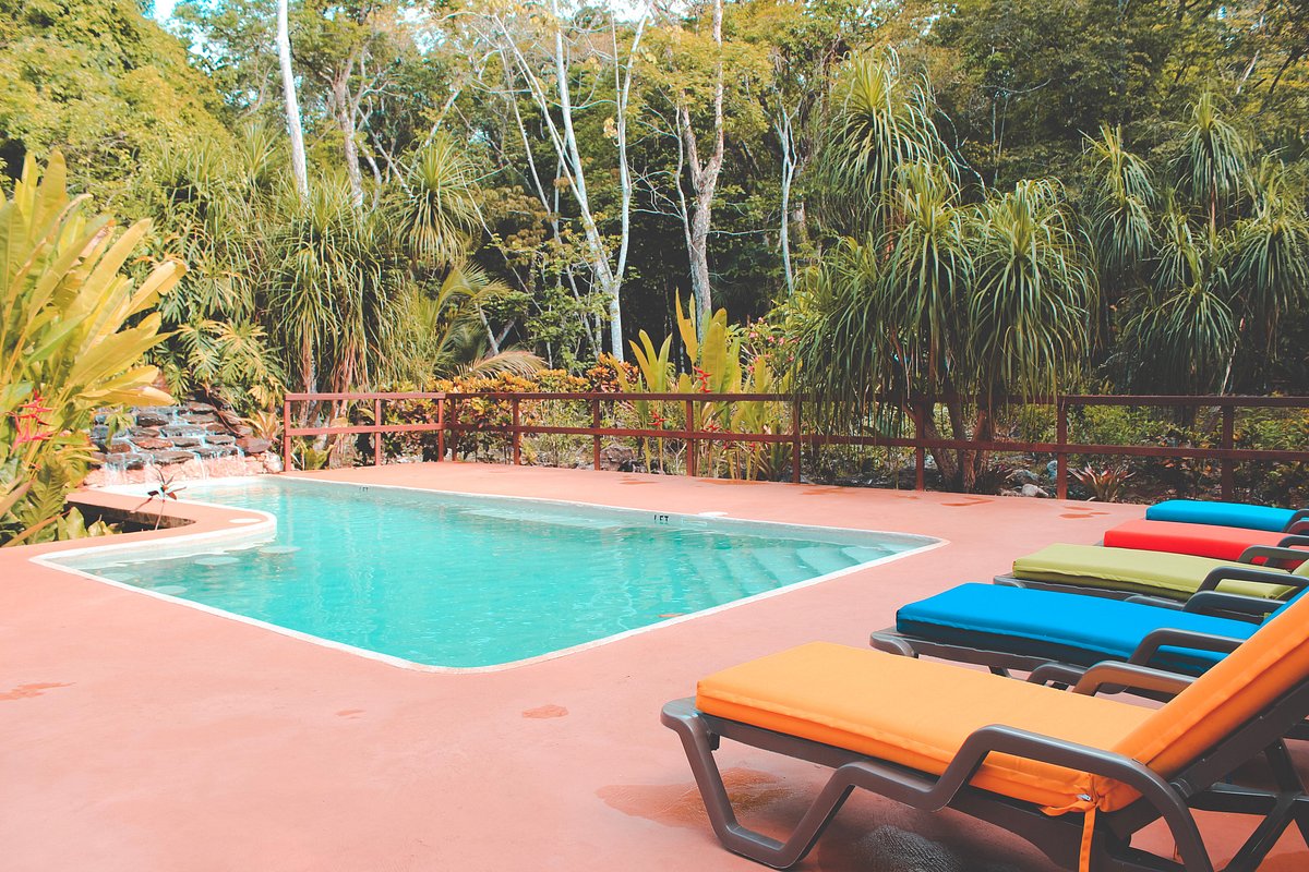 mariposa-jungle-lodge-pool-pictures-reviews-tripadvisor