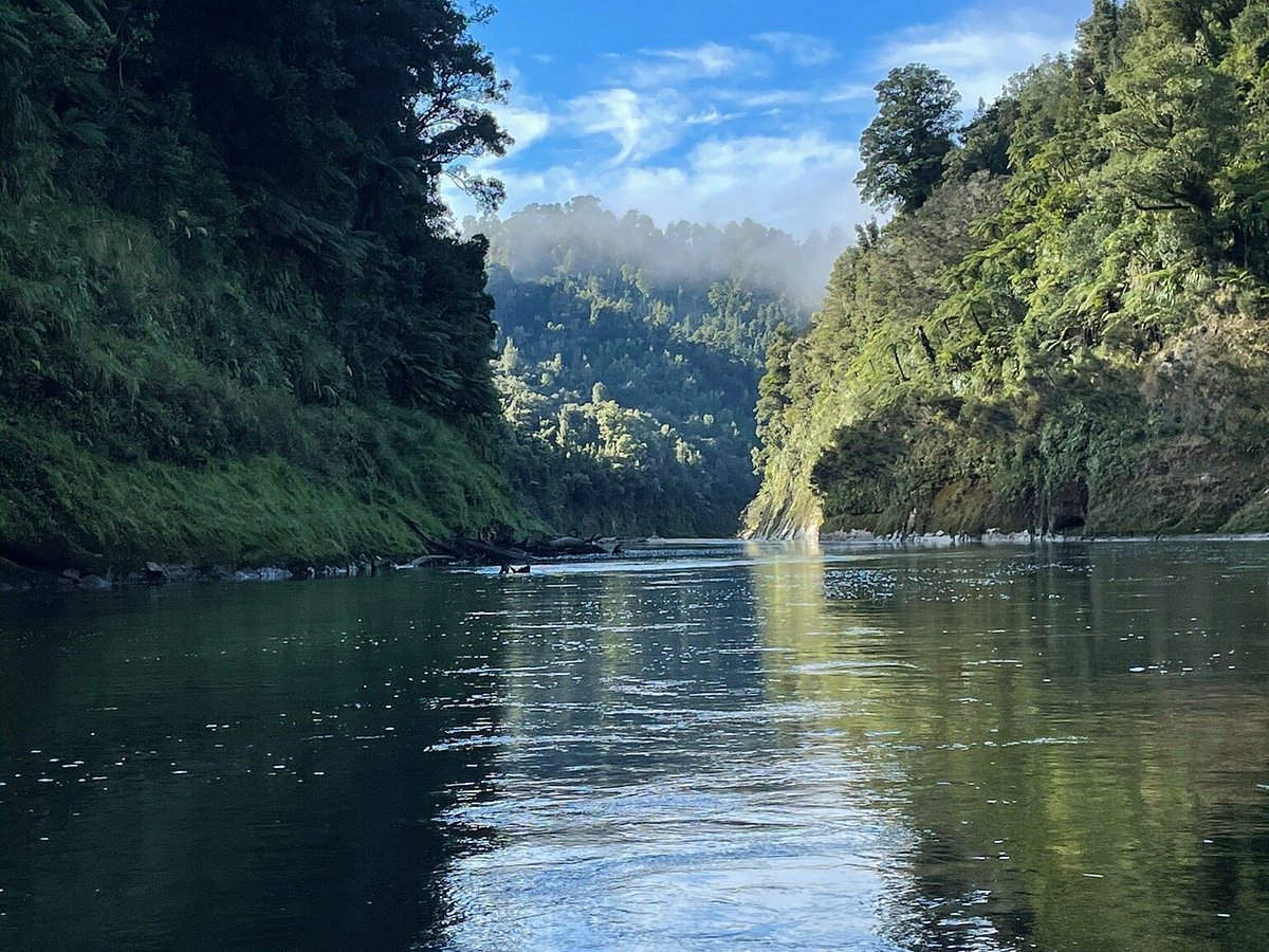 whanganui journey review