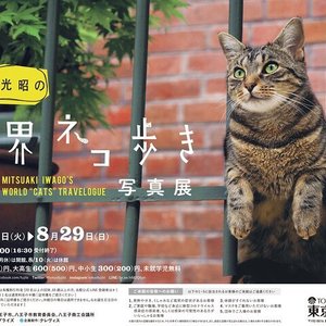 21年 Tohoシネマズ 南大沢 行く前に 見どころをチェック トリップアドバイザー