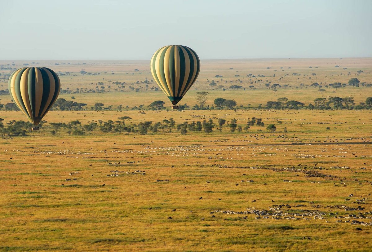 Serengeti Balloon Safaris, Национальный парк Серенгети: лучшие советы перед  посещением - Tripadvisor