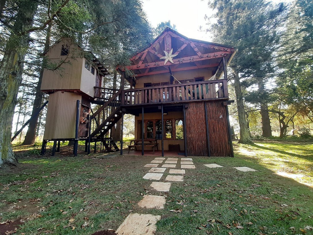 SYCAMORE AVENUE TREEHOUSE LODGE (Mooi River) - отзывы, фото и сравнение цен  - Tripadvisor