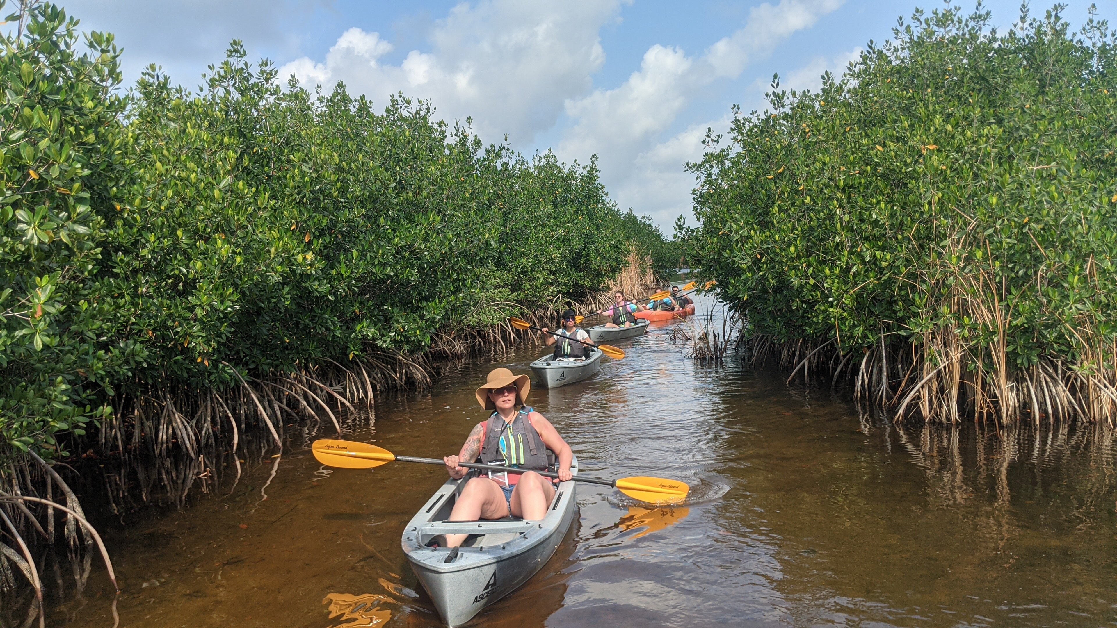 2023 Manatees And Mangrove Tunnels Small Group Kayak Tour