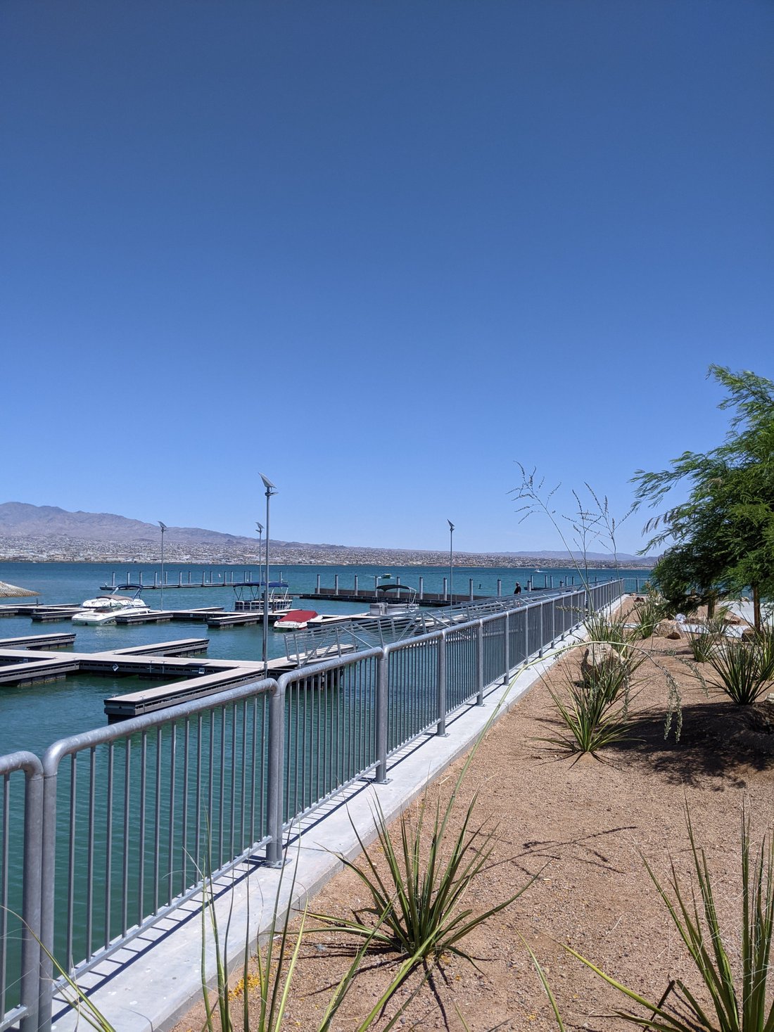 HAVASU LANDING RESORT AND CASINO - Prices & Hotel Reviews (Havasu Lake, CA)