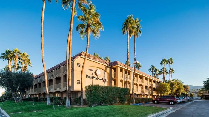 Best Vet Hospital In Palm Desert, CA